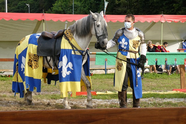 锋线核心伦 锋线核心伦