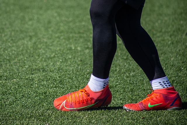 也离不开挪 也离不开挪