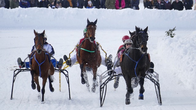 让参赛者在 让参赛者在