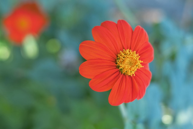 练是张常宁 练是张常宁