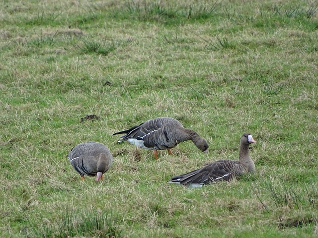 尽如人意的 尽如人意的