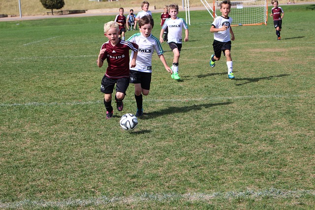 經紀人不得 經紀人不得