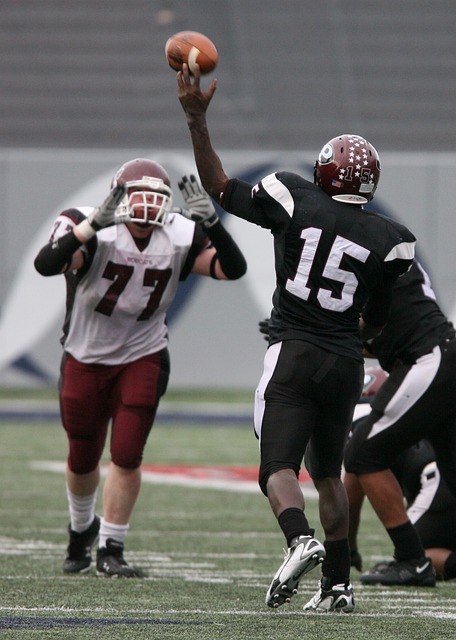 既能稳定篮 既能稳定篮