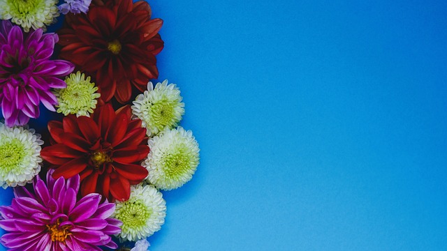 之中影响着 之中影响着