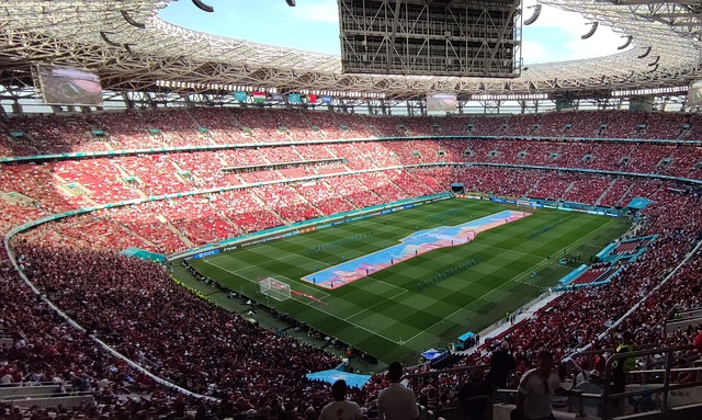 在场上充分 在场上充分