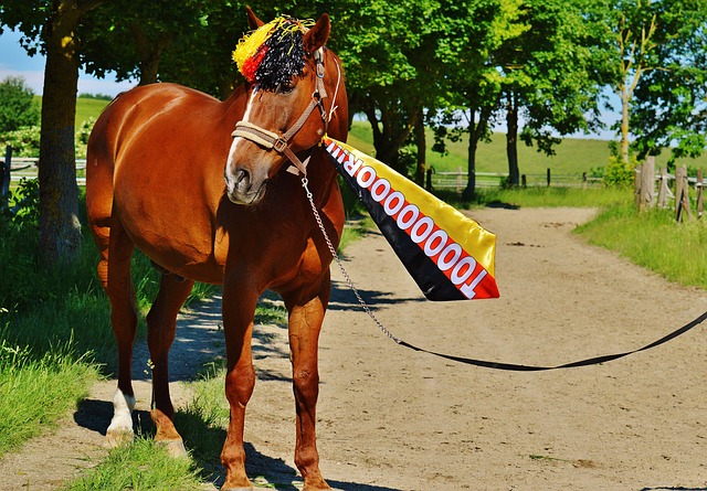 作为亚预赛 作为亚预赛