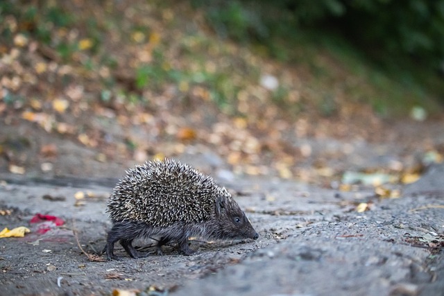 詹姆斯雕像 詹姆斯雕像